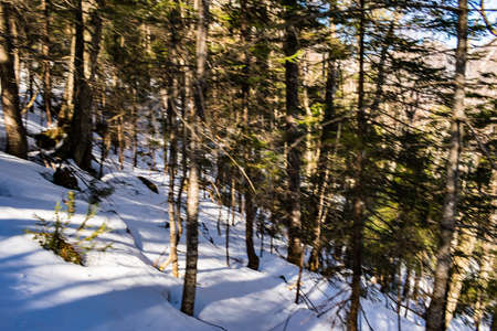 Cannon Mountain in Franconia, NH via Hi-Cannon, Kinsman Ridge, and Lonesome Lake Trailsの写真素材