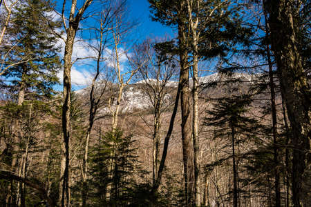 Cannon Mountain in Franconia, NH via Hi-Cannon, Kinsman Ridge, and Lonesome Lake Trailsの写真素材