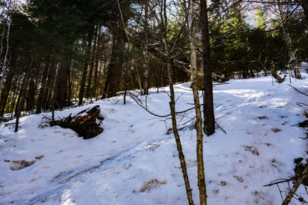 Cannon Mountain in Franconia, NH via Hi-Cannon, Kinsman Ridge, and Lonesome Lake Trailsの写真素材