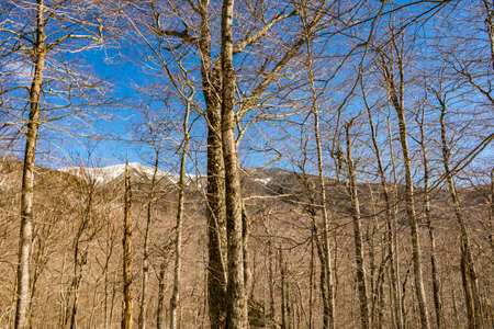 Cannon Mountain in Franconia, NH via Hi-Cannon, Kinsman Ridge, and Lonesome Lake Trailsの写真素材