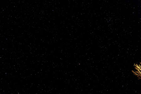 A long exposure of the night sky in early May over Lisbon, NH. A pine tree is just peeking in on the...
