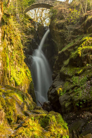 Aira Forceの写真素材