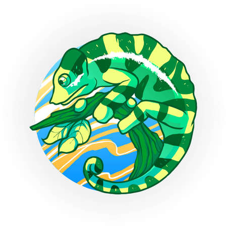chameleon vector Illustration. Suitable for t shirt, print and apparelのイラスト素材