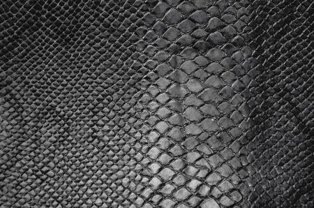 black snake skin texture background