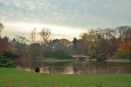 pond and bridge in autumn landscape parkの写真素材