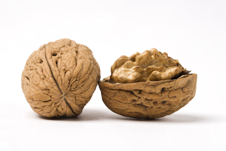 Walnut on isolated white backgroundの写真素材