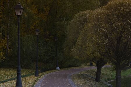 The path in the woods. Autumn forest. Golden autumn.の写真素材