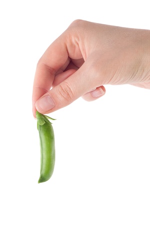 Woman s hand holding a pod of peas on a white background の写真素材