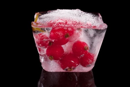 Berries frozen currant in the ice の写真素材