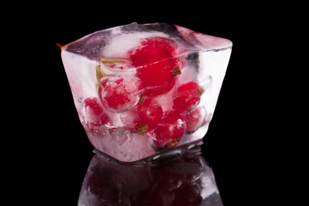 Berries frozen currant in the ice の写真素材