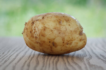 One raw potato lying on the wooden background の写真素材