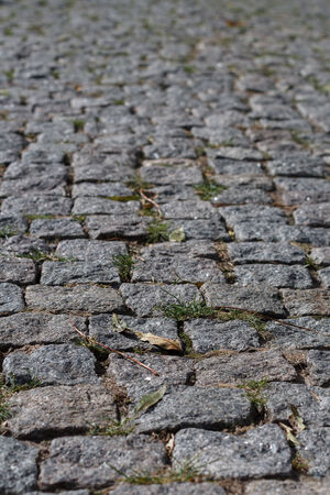 Photo of the old, dark stone pavement.の写真素材