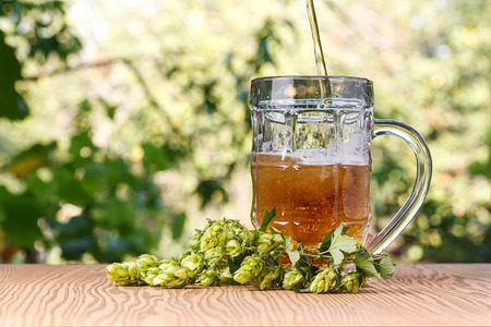 A glass of cold beer outdoors.の写真素材