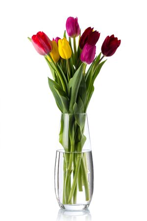 Beautiful bouquet of multi-colored tulips in a glass vase.の写真素材