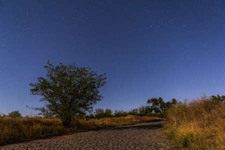 Photo of the starry sky with a view of the old roadの写真素材