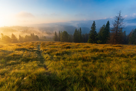 Photo of dawn in the mountains in summerの写真素材