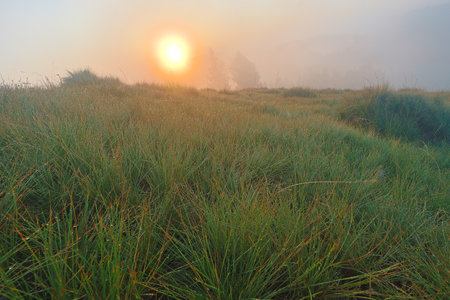 Photo of dawn in the mountains in summerの写真素材