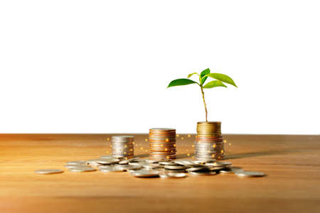 Saving concept of financial improvement progress by stack of coin or cash growing on wooden...