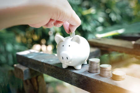 Stack of coins and piggy bank take photo outdoor nature background. Concept and idea of wealth by...
