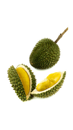 Sweet and exotic taste of tropical fruit. Natural green, thorny outside.の写真素材