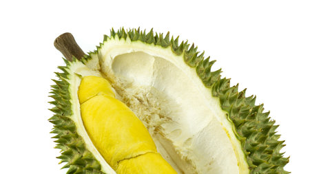 Sweet and exotic taste of tropical fruit. Natural green, thorny outside.の写真素材
