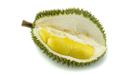 Durian peel closeup dramatic shot on black background.の写真素材