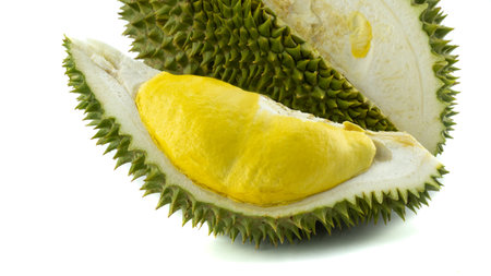 Durian peel closeup dramatic shot on black background.の写真素材