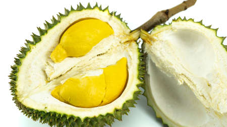 Durian peel closeup dramatic shot on black background.の写真素材