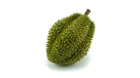Durian peel closeup dramatic shot on black background.の写真素材