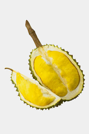 Durian montong, smelly Thai fruit on isolated white background.の写真素材