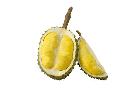 Durian montong, smelly Thai fruit on isolated white background. The sweet and exotic taste of tropical fruit.の写真素材