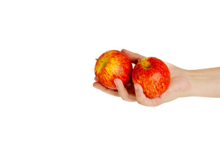 Hand hold red, yellow apples cutout on isolated white background. This juicy healthy fruit is very tasty and has natural vitamin with antioxidant nutrition. Eat as health and diet food.の写真素材