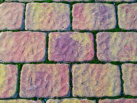 Rough pavement in pastel tones with moss on the boardsの写真素材