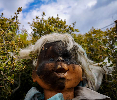 Old doll with face burned in bramblesの写真素材