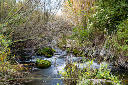 Small waterfall surrounded by vegetation in long exposure