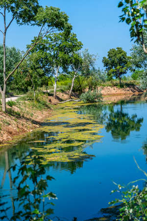 View of the beautiful El Clot de la Mare de Deu pond located in the town of Burriana with...