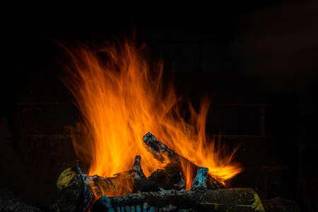 Flames in different forms of a bonfire made with orange tree trunks in long exposure with a black background. Tranquility conceptの写真素材