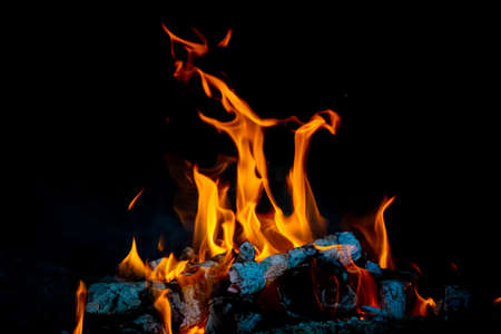 Flames in different forms of a bonfire made with orange tree trunks with a black background. Tranquility conceptの写真素材