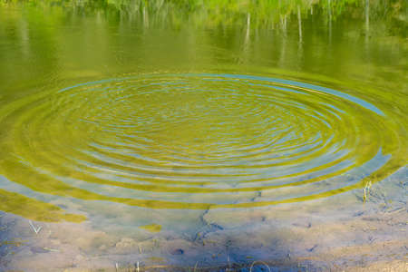 Expansion waves in the water caused by throwing a stone. Motion concept