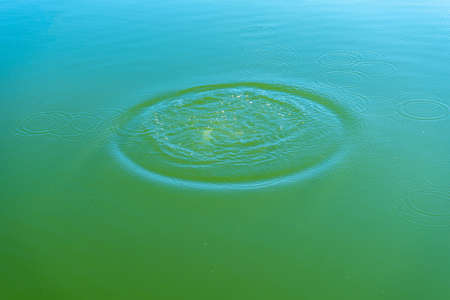 Expansion waves in the water caused by throwing a stone. Motion conceptの写真素材