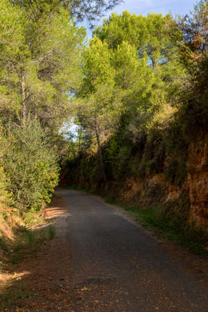 View of a rural path that runs through mountain landscapes in the mountain town of Algimia de Alfara...