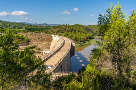 Aerial view of dam, reservoir of the Palancia river and green tropical forest flooded in the background. Climate change, environment concepts.の写真素材