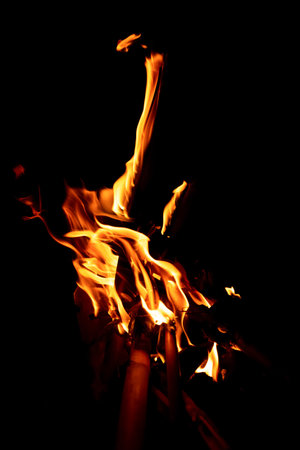 Beautiful formation of fire created by burning some dry reeds forming spectacular and bright flames...