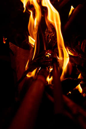 Beautiful formation of fire created by burning some dry reeds forming spectacular and bright flames...