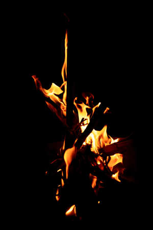 Beautiful formation of fire created by burning some dry reeds forming spectacular and bright flames in the dark of the night. Concept of beauty and destruction.の写真素材