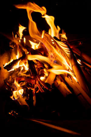 Beautiful formation of fire created by burning some dry reeds forming spectacular and bright flames...