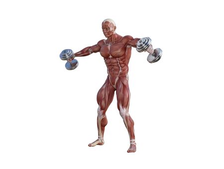 3D illustration of a muscle man posing and exercising with dumbbell for bodybuildingの写真素材