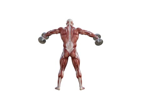3D illustration of a muscle man posing and exercising with dumbbell for bodybuildingの写真素材