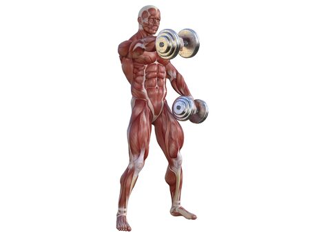 3D illustration of a muscle man posing and exercising with dumbbell for bodybuildingの写真素材
