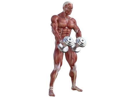 3D illustration of a muscle man posing and exercising with dumbbell for bodybuildingの写真素材
